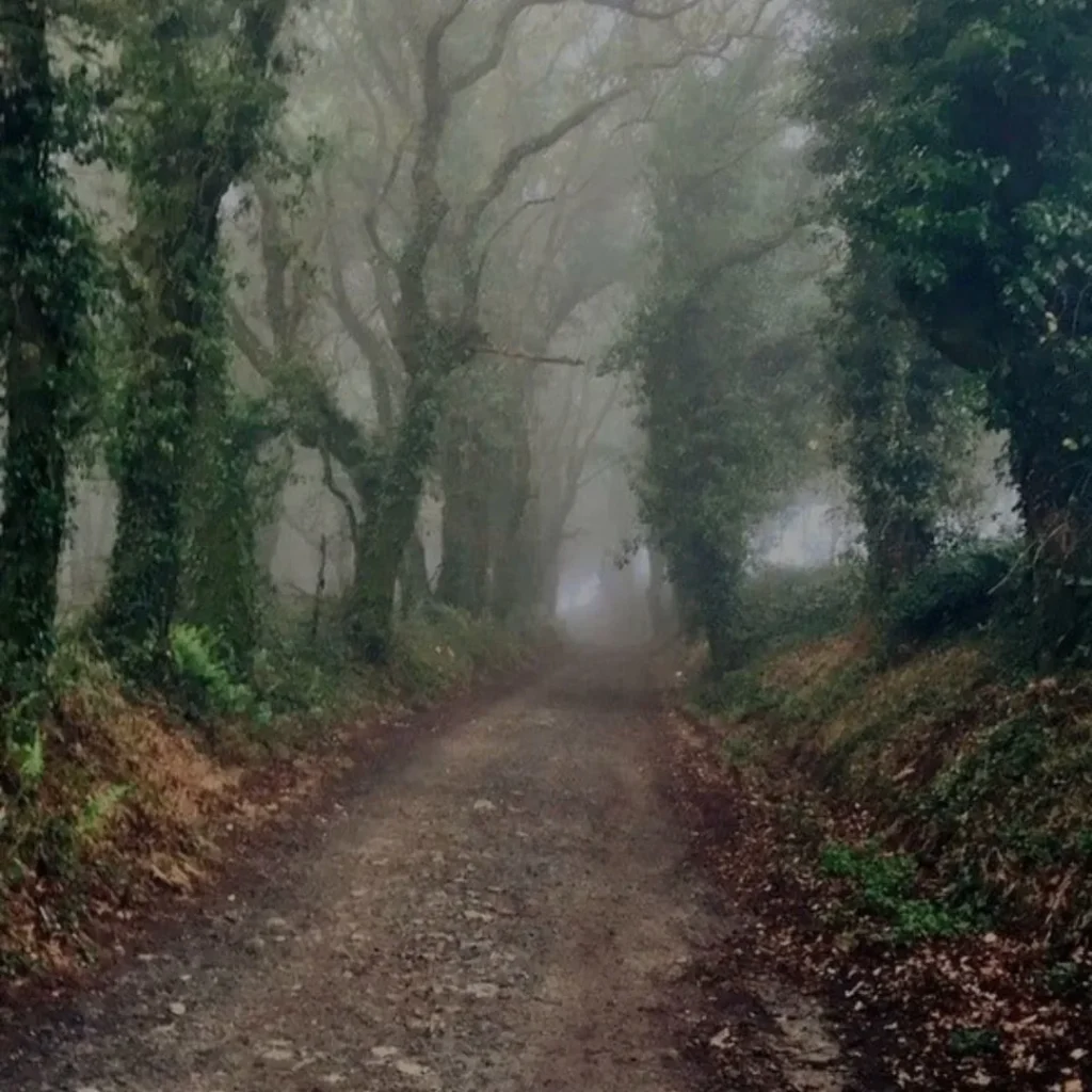 travesia del camino de santiago galicia