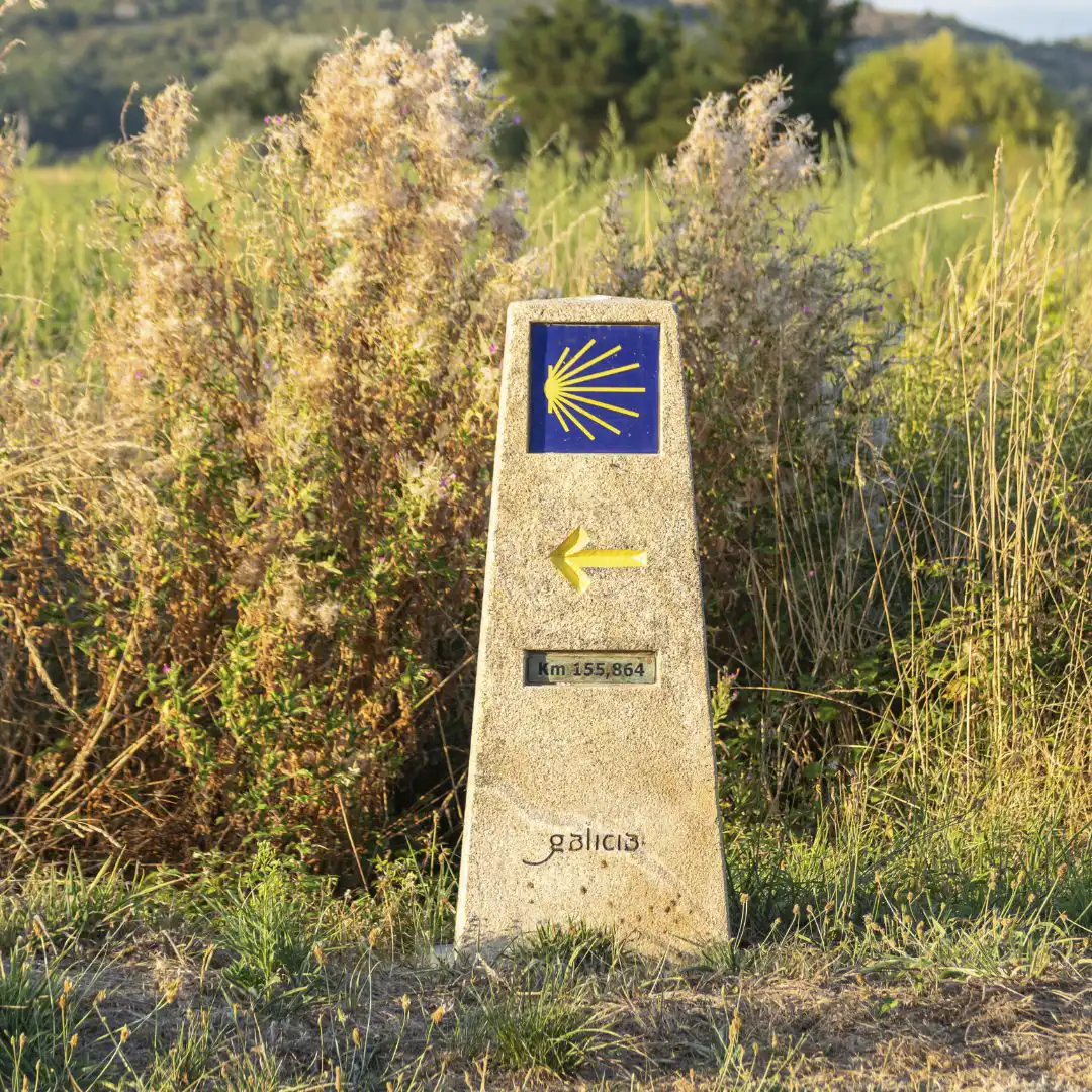 camino-de-santiago-viaje camino de santiago viaje